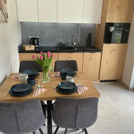 Appartement Tosia Z Widokiem Na Gory I Garazem *