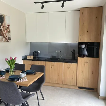 Tosia Z Widokiem Na Gory I Garazem *