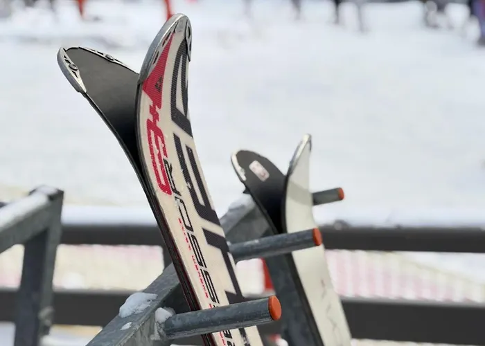 Tosia Z Widokiem Na Gory I Garazem *